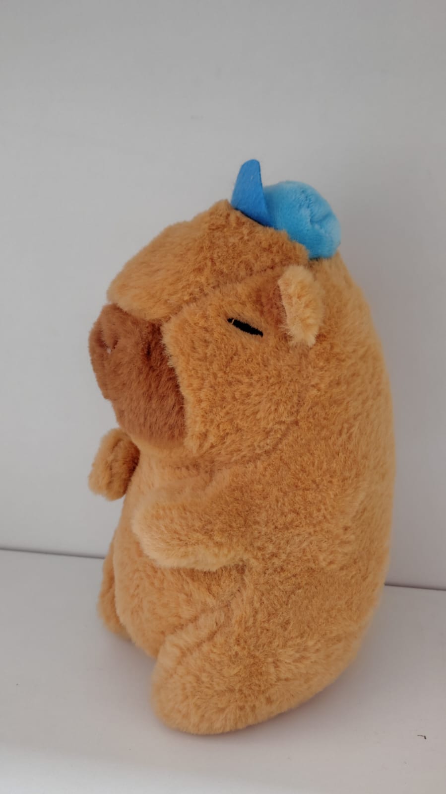 Ursinho Capivara