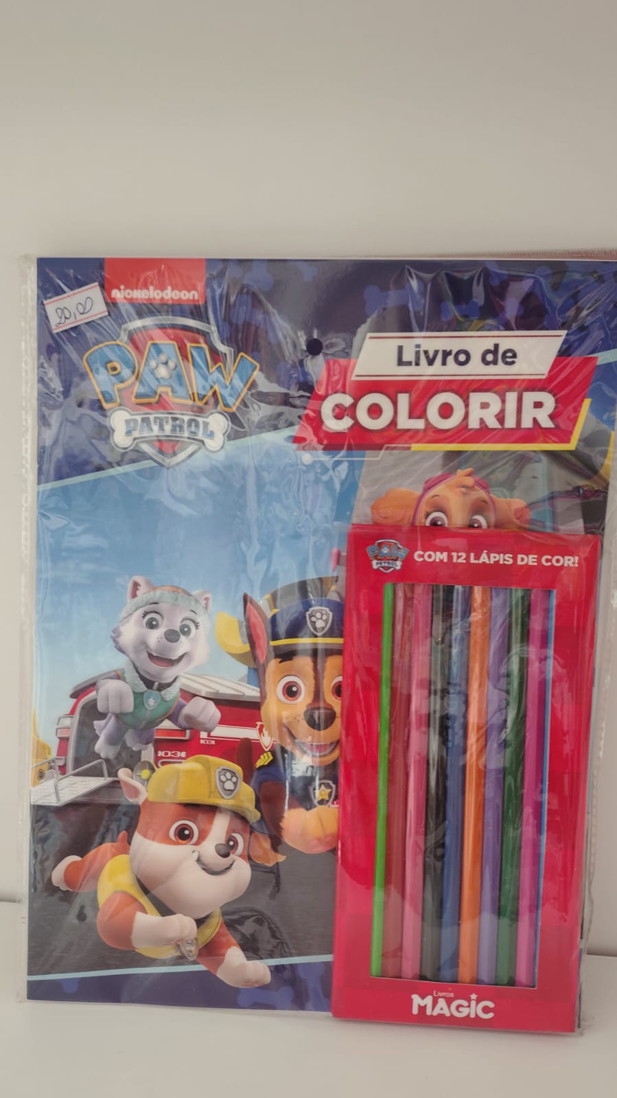 Livro colorir Paw patrol com lapis de cor