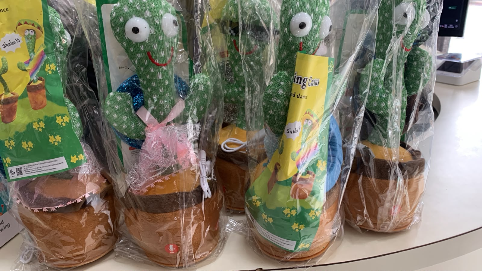Cacto dançante