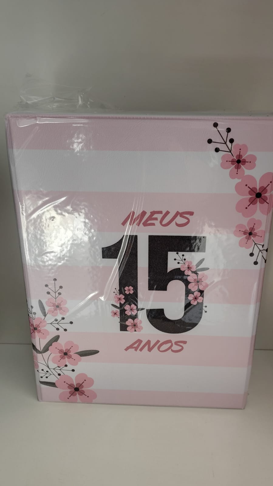 Album maleta 15 anos para 100 -15x21